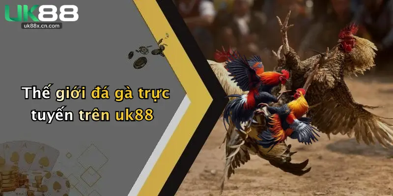 Thế giới đá gà trực tuyến trên uk88